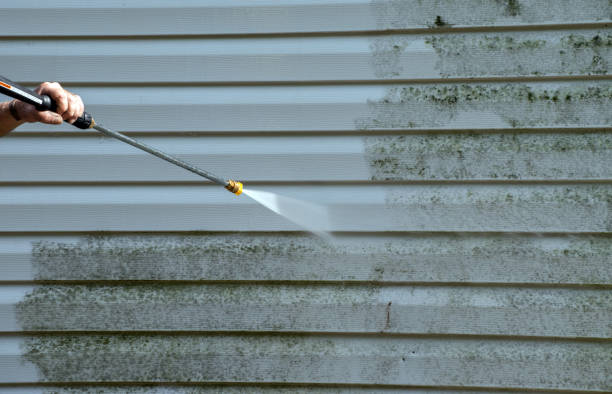 Deck Cleaning Services in Alma, MI