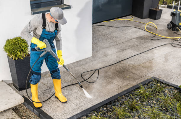 Deck Cleaning Services in Alma, MI